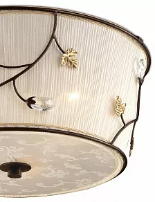 Накладной светильник Odeon Light Lota 2665/3C