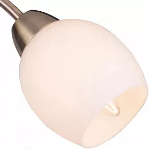 Потолочная люстра TopLight Merry TL3780X-03AB