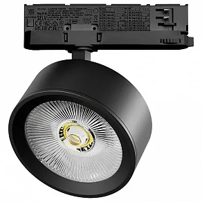 Светильник на штанге Lightstar Alta Pro A5637QT