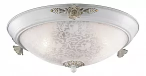 Накладной светильник Odeon Light Bone 2692/3C