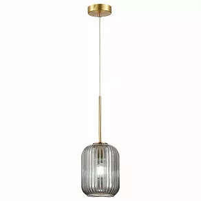 Подвесной светильник ST-Luce Gran 1 SL1154.323.01