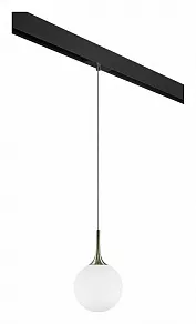 Подвесной светильник Lightstar Globo PRO813021