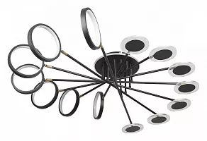 Потолочная люстра Loft it Megan 10164L Black