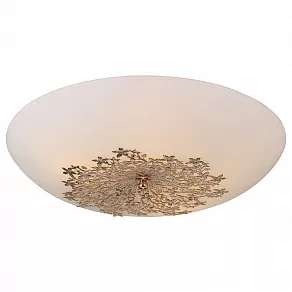 Накладной светильник Arte Lamp Provence A4548PL-5GO