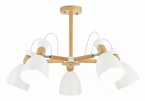 Люстра на штанге EVOLUCE Balcamo SLE103802-05