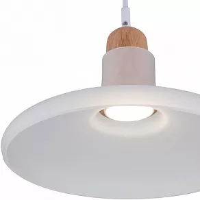 Подвесной светильник Maytoni Ola P017PL-01W