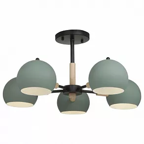 Люстра на штанге Freya Trisha FR5032CL-05B