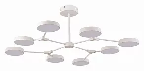 Люстра на штанге EVOLUCE Monta SLE6003-502-08