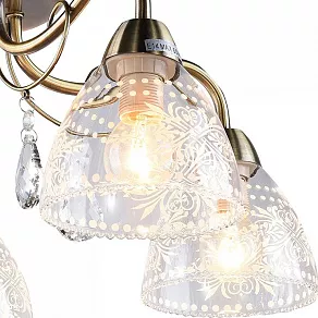 Потолочная люстра Arte Lamp  A1658PL-5AB