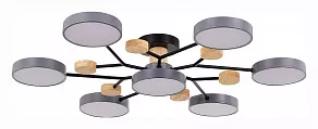 Потолочная люстра EVOLUCE Faema SLE6006-702-07