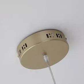 Подвесной светильник Favourite Evolve 2530-8P