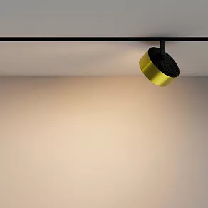 Светильник на штанге Maytoni Rado TR040-2-18W3K-BBS