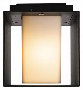 Накладной светильник Lucide Exeter 28804/01/30