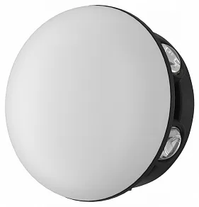 Накладной светильник Favourite Option 4853-1W