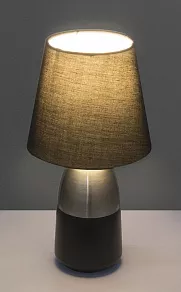 Настольная лампа декоративная Globo Eugen 24135N