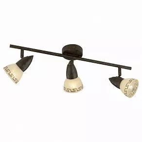 Спот Odeon Light Medeo 2075/3W