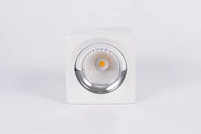 Накладной светильник Fiberli CH-SD220 12120101