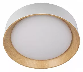 Накладной светильник Loft it Coin 10202 White