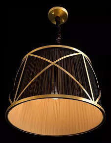 Подвесной светильник Arte Lamp Vitruvio A2805SP-1BK