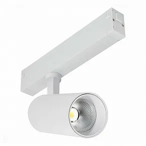 Светильник на штанге ST-Luce Skyline 220 ST660.546.20