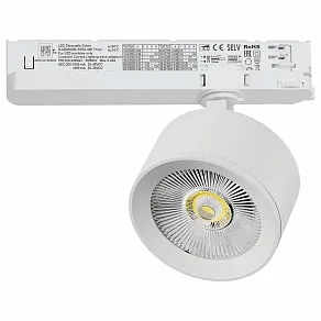 Светильник на штанге Lightstar Alta Pro A5546TRIAC