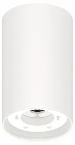 Накладной светильник Ambrella Light C C8161