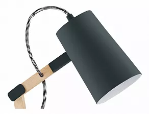 Настольная лампа офисная Eglo Torona 94034