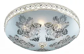 Накладной светильник Odeon Light Aspena 2777/6C