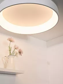 Накладной светильник Lucide Talowe Led 46100/80/31
