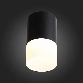 Накладной светильник ST-Luce Ottu ST100.402.05