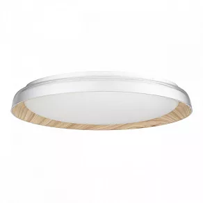 Накладной светильник Citilux MEGA CL752452G