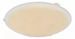 Накладной светильник Globo Holly I 40989