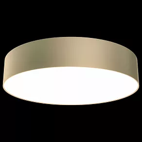 Накладной светильник Maytoni Zon C032CL-L43MG3K