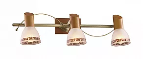 Спот Odeon Light Vario 1970/3W