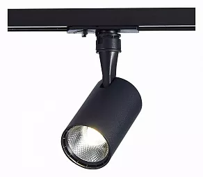 Светильник на штанге ST-Luce Cami ST351.446.10.36