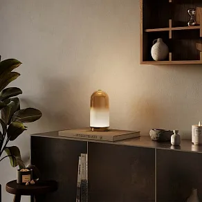 Настольная лампа декоративная Maytoni Fable MOD488TL-L8BS3K