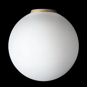 Накладной светильник Citilux RON CL941D25B2
