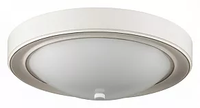 Накладной светильник Lumion Nina 5279/2C