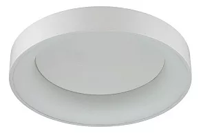 Накладной светильник Odeon Light Sole 4062/40CL