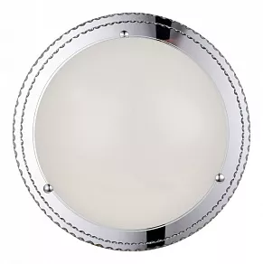 Накладной светильник ST-Luce Universale SL494.502.01