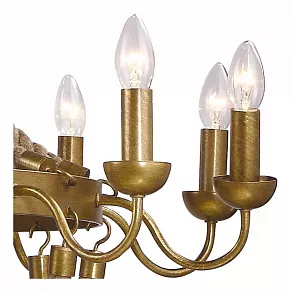 Подвесная люстра Arte Lamp Amaca A8957LM-12BZ