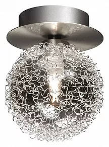 Накладной светильник Odeon Light Roxby 2460/1C