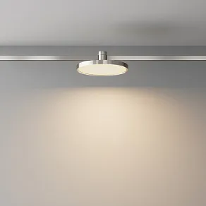 Накладной светильник Maytoni Technical Plato TR153-1-10W3K-PT
