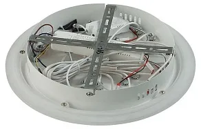 Потолочная люстра Lumion Alberta 8029/95CL