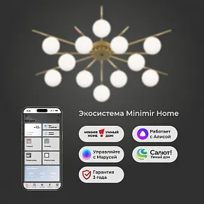 Потолочная люстра Eurosvet Sabina 302001/12