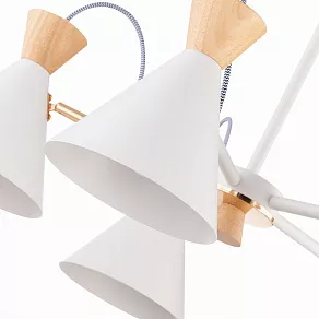 Люстра на штанге EVOLUCE Modica SLE125102-05