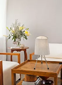 Настольная лампа декоративная Maytoni Comfort MOD008TL-01N