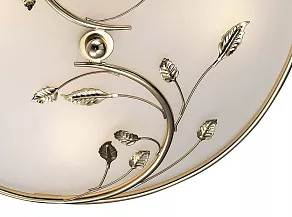 Накладной светильник Odeon Light Regana 2728/4C