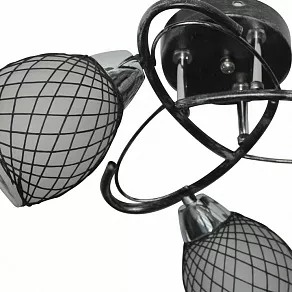 Потолочная люстра TopLight Janelle TL7440X-03BP