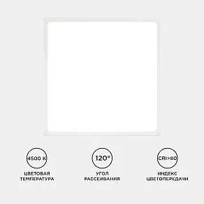 Накладной светильник Apeyron Electrics  06-50